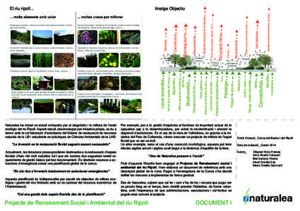 Naturalea ha iniciat un estudi exhaustiu per al diagnòstic i la millora de l’estat ecològic del riu Ripoll. Aquest estudi, desenvolupat per iniciativa pròpia, es du a terme amb la col·laboració d’estudiants del 