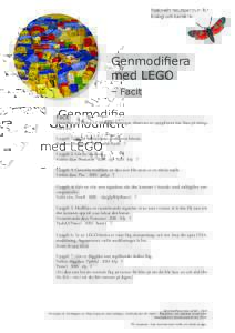 Genmodifiera med LEGO – Facit Facit  Detta facit ger endast ett förslag på lösningar, observera att uppgifterna kan lösas på många