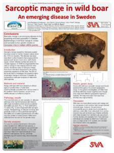 11th European Wildlife Disease Association Conference, Edinburgh, Scotland, August 25-29, 2014  Sarcoptic mange in wild boar An emerging disease in Sweden Lena Rangstrup-Christensen1, Axel Sannö2, Henrik Uhlhorn1, Karin