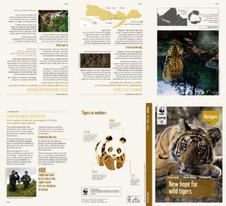 WWF.ORG.HK  New hope for wild tigers  Conservation