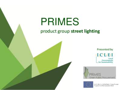 PRIMES product group street lighting Presented by  PRIMES