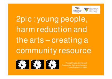 2pic : young people, harm reduction and the arts – creating a community resource Young People, Crime and Community Safety conference