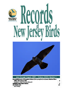 Records New Jersey Birds of June through August, 2009 — Volume XXXVI, Number 1 Reestablishment of Peregrine Falcon (Falco peregrinus) on Lower Hudson River