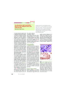 NOUVELLE  La structure de la protéine prion et la relation avec son infectiosité Madly Brigitte, Fabrice Chrétien