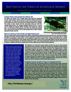 Tortugas Reef Fish and Marine Zones