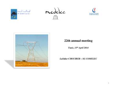 22th annual meeting Tunis, 15th April 2014 Lakhdar CHOUIREB – SG COMELEC  1