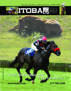 Indiana Thoroughbred Owners and Breeders Association - ITOBA NEWS Steve Heuertz photo 