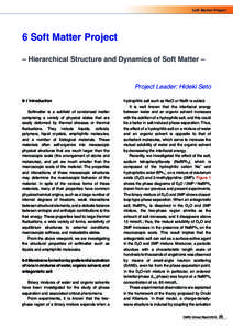 Soft Matter Project  6 Soft Matter Project – Hierarchical Structure and Dynamics of Soft Matter – Project Leader: Hideki Seto 6-1 Introduction
