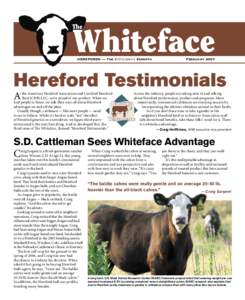 Whiteface  The HEREFORDS — The Efﬁciency Experts