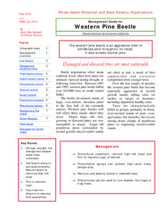 Management Guide for Western Pine Beetle