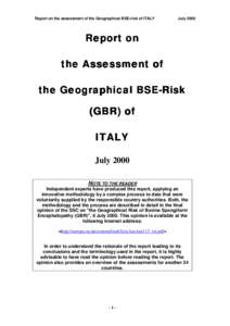 Report on the assessment of the Geographical BSE-risk of ITALY  July 2000 Report on the Assessment of