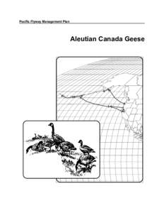 Pacific Flyway Management Plan for the