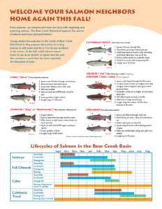 WELCOME YOUR SALMON NEIGHBORS HOME AGAIN THIS FALL! Every autumn, our streams and rivers are busy with migrating and spawning salmon. The Bear Creek Watershed supports five species of salmon and trout (pictured below). Y