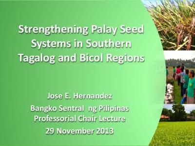 Strengthening Palay Seed Systems in Southern Tagalog and Bicol Regions Jose E. Hernandez Bangko Sentral ng Pilipinas Professorial Chair Lecture