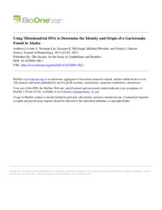 Using Mitochondrial DNA to Determine the Identity and Origin of a Gartersnake Found in Alaska Author(s): Lorin A. Neuman-Lee, Suzanne E. McGaugh, Michael Pfrender, and Fredric J. Janzen Source: Journal of Herpetology, 45