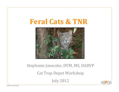 Microsoft PowerPoint - San Diego Cat Trap Depot July 2012