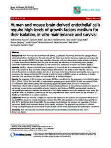 RhoB controls endothelial cell morphogenesis in part via negative regulation of RhoA
