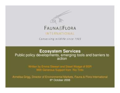 Ecosystem Services Public policy developments, emerging tools and barriers to action Written by Emma Stewart and Sissel Waage of BSR With Generous Support from Rio Tinto Annelisa Grigg, Director of Environmental Markets,