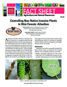 Controlling Non-Native Invasive Plants in Ohio Forests: Ailanthus