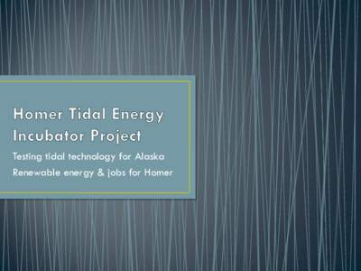 Homer Tidal Energy Incubator Project