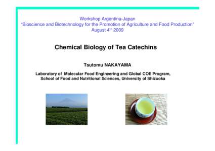 Workshop Argentina-Japan “Bioscience and Biotechnology for the Promotion of Agriculture and Food Production” August 4th 2009 Chemical Biology of Tea Catechins Tsutomu NAKAYAMA