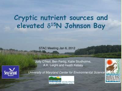 Cryptic nutrient sources and elevated 15N Johnson Bay STAC Meeting Jan 6, 2012  Judy O’Neil, Ben Fertig, Katie Studholme,