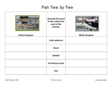 Fish Tw  by Tw Describe the word in this column for