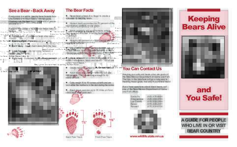See a Bear - Back Away  The Bear Facts Every once in a while, people have face-to-face encounters with black bears. Do not panic.