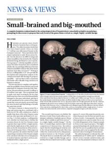 NEWS & VIEWS Pal aeoanthro po lo gy Small-brained and big-mouthed Fred Spoor