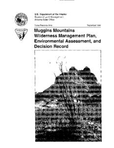 MUGGINS MOUNTAINS WILDERNESS MANAGEMENT PLAN ENVIRONMENTAL ASSESSMENT AND DECISION RECORD