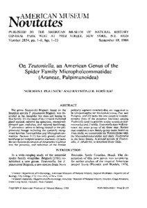Micropholcommatidae / Anapidae / Palpimanoidea / Symphytognathidae / Norman I. Platnick / Pirate spider / Orsolobidae / Araneomorphae / Phyla / Protostome
