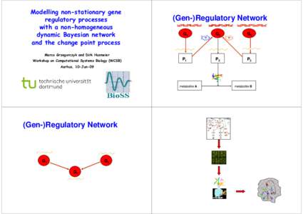 Modelling non-stationary gene regulatory processes with a non-homogeneous dynamic Bayesian network and the change point process