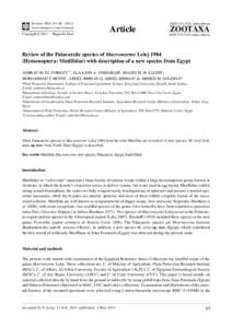 Arabic architecture / Islamic architecture / Medieval Cairo / Mutillidae / Egypt / Agriculture ministry / Al-Azhar University / Cairo University / Ain Shams University / Arab world / Africa / Middle East