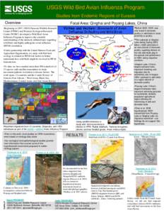 USGS Wild Bird Avian Influenza Program Studies from Endemic Regions of Eurasia Overview Focal Area: Qinghai and Poyang Lakes, China