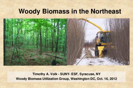 Woody Biomass in the Northeast  Timothy A. Volk - SUNY- ESF, Syracuse, NY Woody Biomass Utilization Group, Washington DC, Oct. 16, 2012  Overview