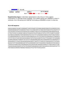 DLL4 / RNA / Homo sapiens
