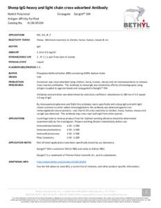 Sheep IgG-heavy and light chain cross-adsorbed Antibody Rabbit Polyclonal Conjugate  DyLight® 594