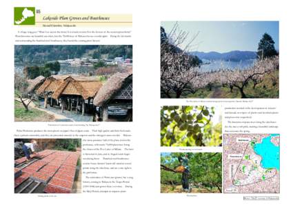 85  Lakeside Plum Groves and Boathouses Tai and Elsewhere, Wakasa-cho A village song goes “What I see across the shore/Is it clouds or mist/It is the flowers of the western plum fields.” Plum blossoms are beautiful a