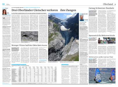 Layout bo-2/oberland/A2/bz_workflow.ngen(workflow4.ngen)