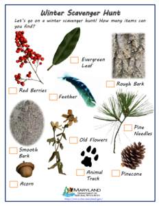 Winter Scavenger Hunt Let’s go on a winter scavenger hunt! How many items can you find? Evergreen Leaf