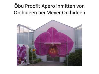 Öbu Proofit Apero inmitten von Orchideen bei Meyer Orchideen Teilnehmer: Jan und Silke Klusmann, Roland Hassinger und Robert Eisoldt, Hanspeter Meyer