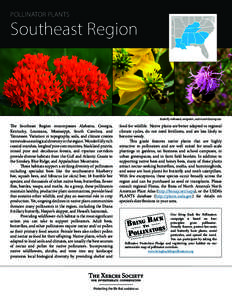 POLLINATOR PLANTS  Southeast Region Butterfly milkweed, wingstem, and marsh blazing star.