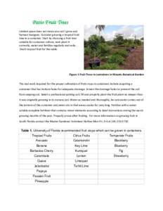 Microsoft Word - Patio Fruit Trees.docx