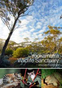 Yookamurra Sanctuary / Australian Wildlife Conservancy / Macrotis / Bilby / Boodie / Woylie / Wildlife rehabilitation / Mammals of Australia / Protected areas of South Australia / Peramelemorphs