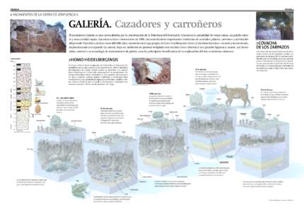 PAGINA 8  PÁGINA 9 GALERÍA. Cazadores y carroñeros El yacimiento Galería es una cueva abierta por la construcción de la Trinchera del Ferrocarril. Consta en la actualidad de varias simas, un pasillo exento y una cav