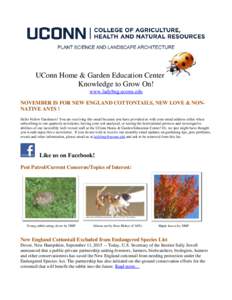 UConn Home & Garden Education Center Knowledge to Grow On! www.ladybug.uconn.edu NOVEMBER IS FOR NEW ENGLAND COTTONTAILS, NEW LOVE & NONNATIVE ANTS ! Hello Fellow Gardeners! You are receiving this email because you have 