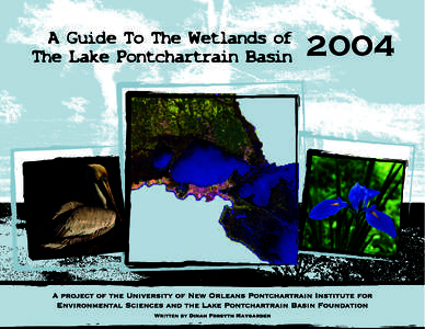 Intracoastal Waterway / Aquatic ecology / Coastal geography / Lake Borgne / Lake Pontchartrain / Mississippi River / Bayou Sauvage National Wildlife Refuge / Lake Maurepas / Wetland / Geography of the United States / Physical geography / Louisiana