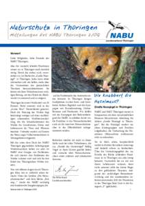 Die NABU-Stiftung Nationales Naturerbe