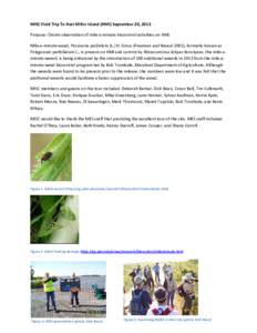 Weevil / Agriculture / Persicaria perfoliata / Curculionidae / Biological pest control