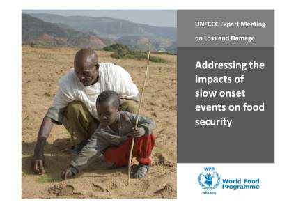 UNFCCC Expert Meeting on Loss and Damage UNFCCC Expert Meeting on Loss and Damage